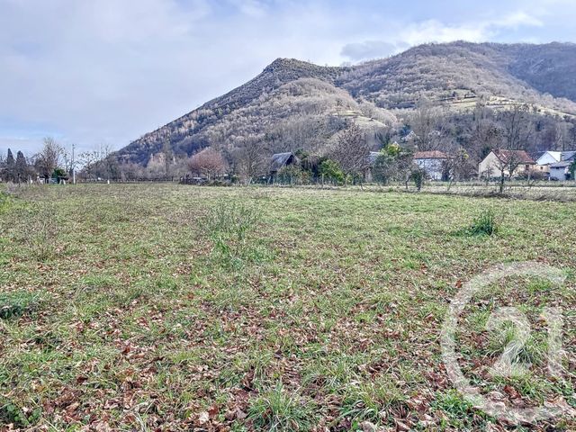 terrain - MOULIS - 09