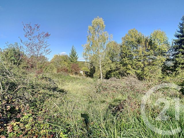 terrain - ST GIRONS - 09