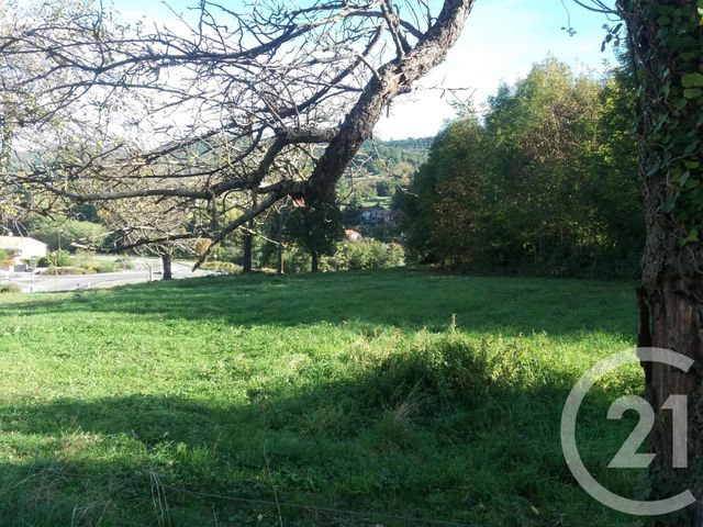 terrain à vendre - 1535.0 m2 - ST LIZIER - 09 - MIDI-PYRENEES - Century 21 Pyrénées Immo