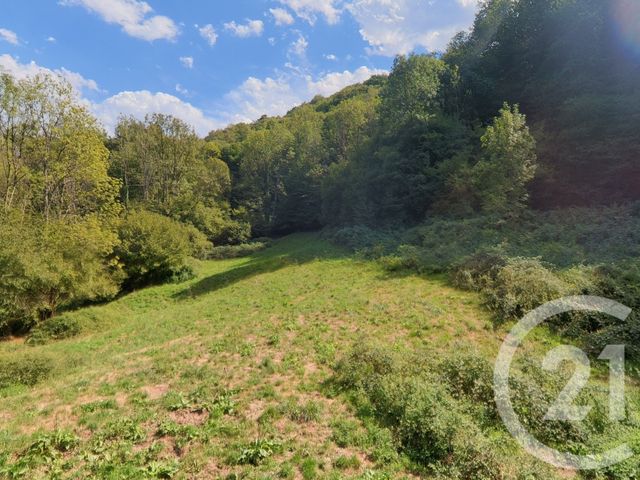 maison à vendre - 2 pièces - 84.0 m2 - BETHMALE - 09 - MIDI-PYRENEES - Century 21 Pyrénées Immo