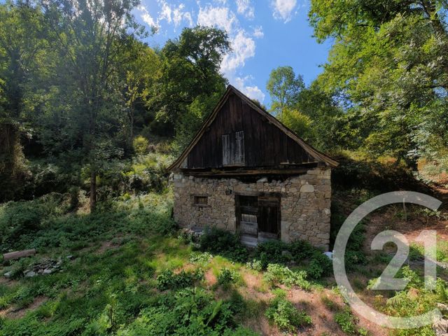 maison à vendre - 2 pièces - 84.0 m2 - BETHMALE - 09 - MIDI-PYRENEES - Century 21 Pyrénées Immo