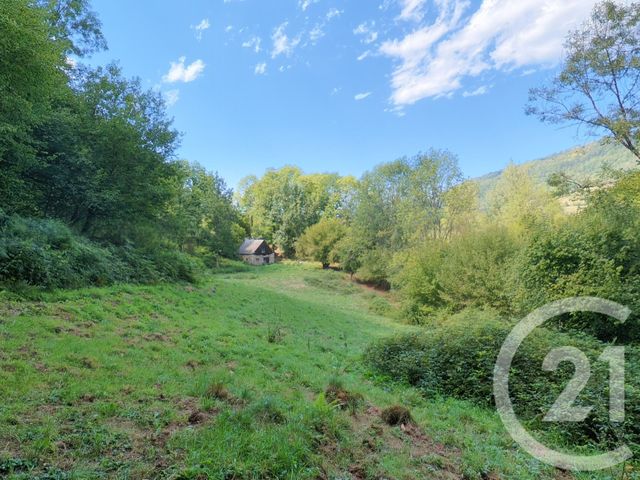 maison à vendre - 2 pièces - 84.0 m2 - BETHMALE - 09 - MIDI-PYRENEES - Century 21 Pyrénées Immo