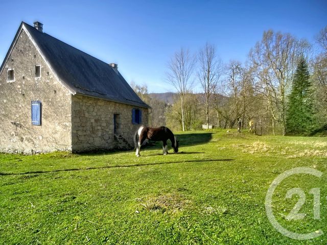 maison à vendre - 9 pièces - 227.9 m2 - ERCE - 09 - MIDI-PYRENEES - Century 21 Pyrénées Immo