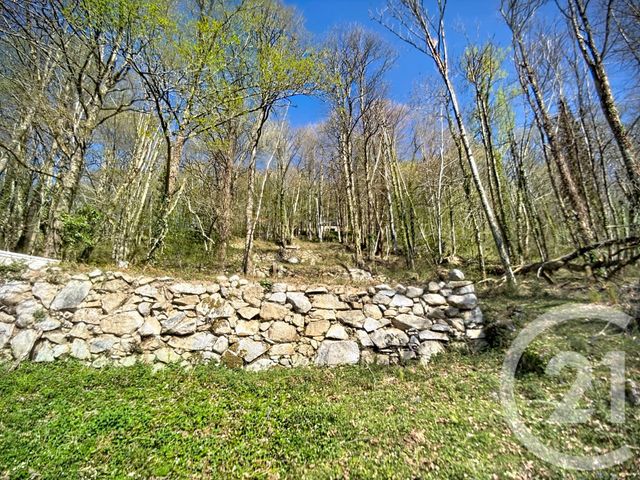 maison à vendre - 9 pièces - 227.9 m2 - ERCE - 09 - MIDI-PYRENEES - Century 21 Pyrénées Immo