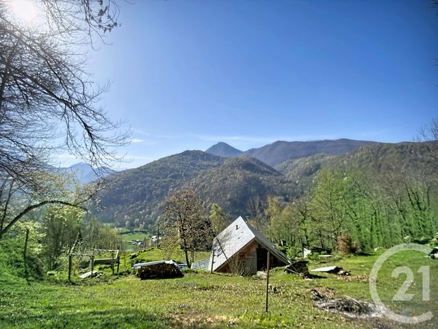 maison à vendre - 9 pièces - 227.9 m2 - ERCE - 09 - MIDI-PYRENEES - Century 21 Pyrénées Immo