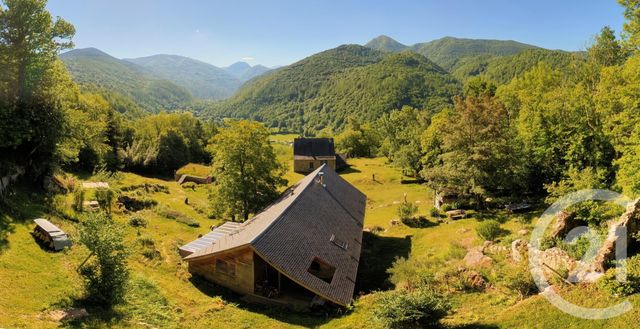 maison à vendre - 9 pièces - 227.9 m2 - ERCE - 09 - MIDI-PYRENEES - Century 21 Pyrénées Immo