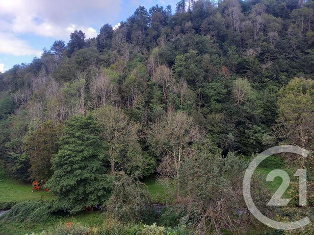 maison à vendre - 3 pièces - 80.0 m2 - RIVERENERT - 09 - MIDI-PYRENEES - Century 21 Pyrénées Immo