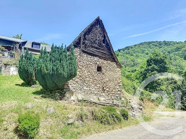 maison - BETHMALE - 09