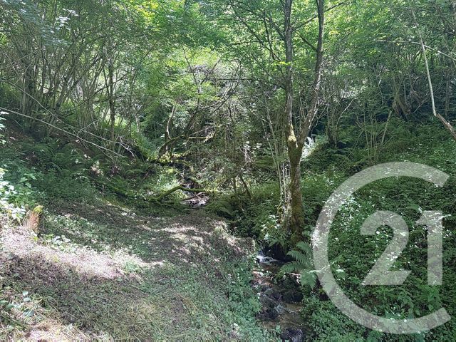 maison à vendre - 2 pièces - 74.0 m2 - BETHMALE - 09 - MIDI-PYRENEES - Century 21 Pyrénées Immo