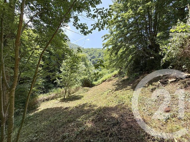 maison à vendre - 2 pièces - 74.0 m2 - BETHMALE - 09 - MIDI-PYRENEES - Century 21 Pyrénées Immo