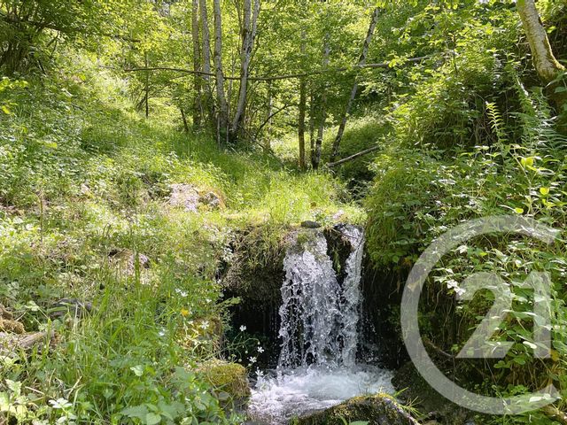 maison à vendre - 2 pièces - 40.0 m2 - LE PORT - 09 - MIDI-PYRENEES - Century 21 Pyrénées Immo