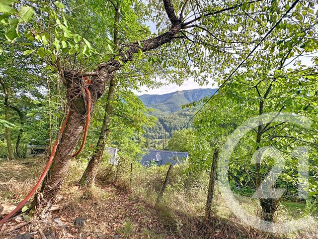 maison à vendre - 1 pièce - 29.08 m2 - ORGIBET - 09 - MIDI-PYRENEES - Century 21 Pyrénées Immo