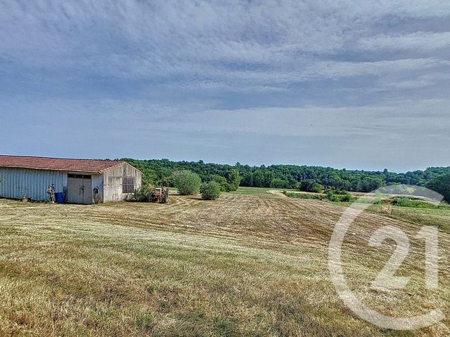 maison à vendre - 7 pièces - 115.32 m2 - DAUMAZAN SUR ARIZE - 09 - MIDI-PYRENEES - Century 21 Pyrénées Immo
