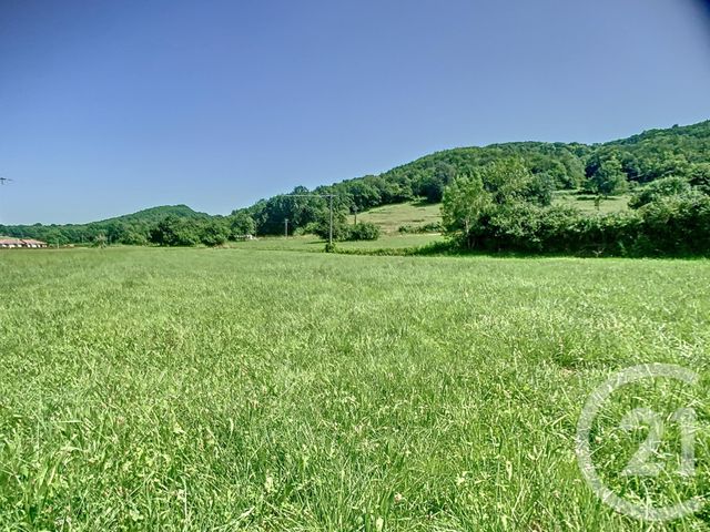 terrain à vendre - 3019.0 m2 - MONTJOIE EN COUSERANS - 09 - MIDI-PYRENEES - Century 21 Pyrénées Immo