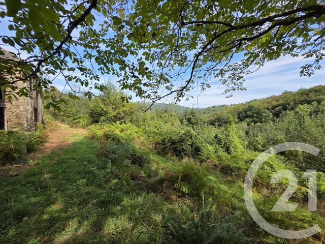 maison à vendre - 1 pièce - 87.04 m2 - ILLARTEIN - 09 - MIDI-PYRENEES - Century 21 Pyrénées Immo