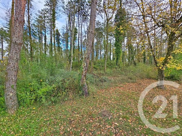 terrain - MONTJOIE EN COUSERANS - 09