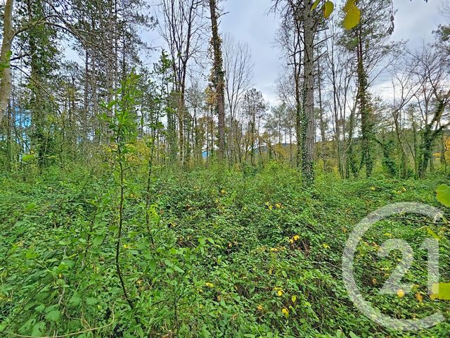 terrain à vendre - 45093.0 m2 - MONTJOIE EN COUSERANS - 09 - MIDI-PYRENEES - Century 21 Pyrénées Immo