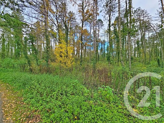 terrain à vendre - 45093.0 m2 - MONTJOIE EN COUSERANS - 09 - MIDI-PYRENEES - Century 21 Pyrénées Immo
