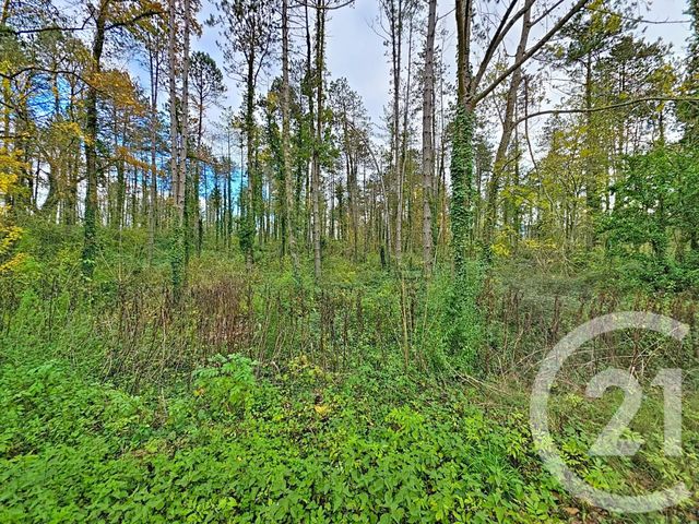 terrain à vendre - 45093.0 m2 - MONTJOIE EN COUSERANS - 09 - MIDI-PYRENEES - Century 21 Pyrénées Immo