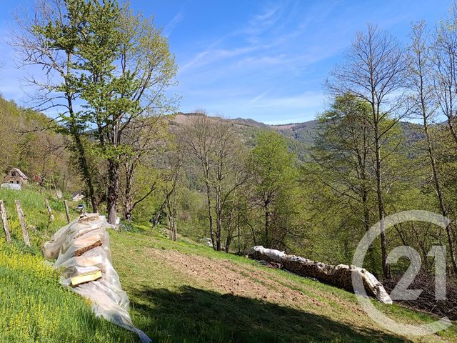 maison à vendre - 3 pièces - 100.0 m2 - ALEU - 09 - MIDI-PYRENEES - Century 21 Pyrénées Immo
