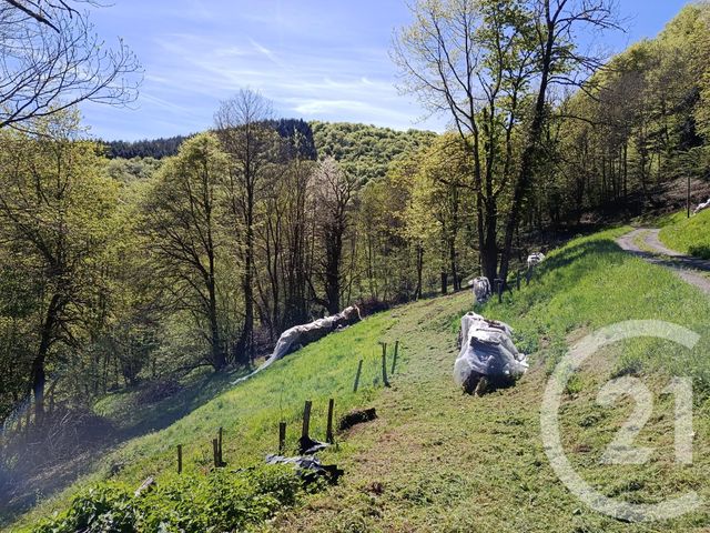 maison à vendre - 3 pièces - 100.0 m2 - ALEU - 09 - MIDI-PYRENEES - Century 21 Pyrénées Immo