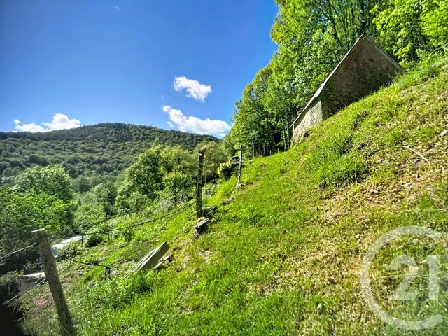 maison à vendre - 3 pièces - 100.0 m2 - ALEU - 09 - MIDI-PYRENEES - Century 21 Pyrénées Immo
