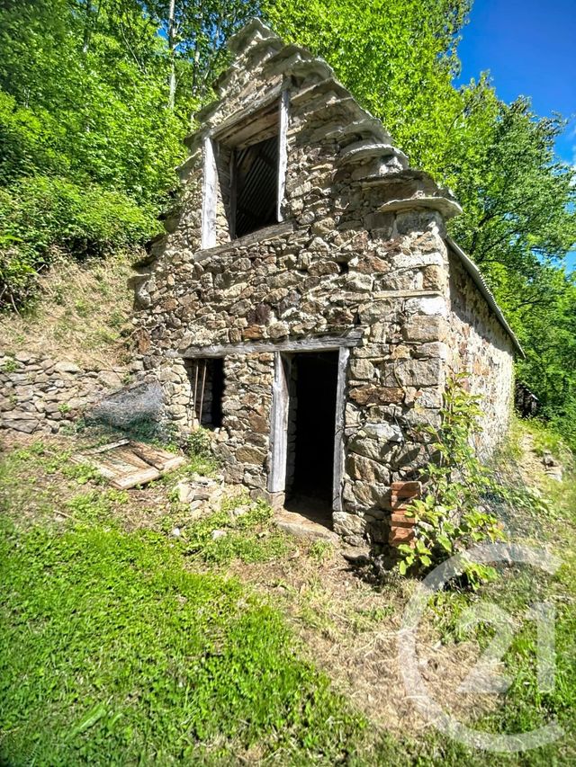 maison à vendre - 3 pièces - 100.0 m2 - ALEU - 09 - MIDI-PYRENEES - Century 21 Pyrénées Immo