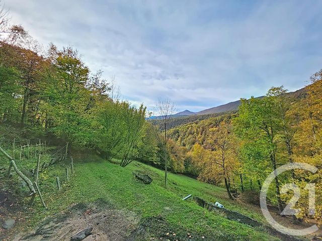 maison à vendre - 3 pièces - 61.84 m2 - VILLENEUVE - 09 - MIDI-PYRENEES - Century 21 Pyrénées Immo