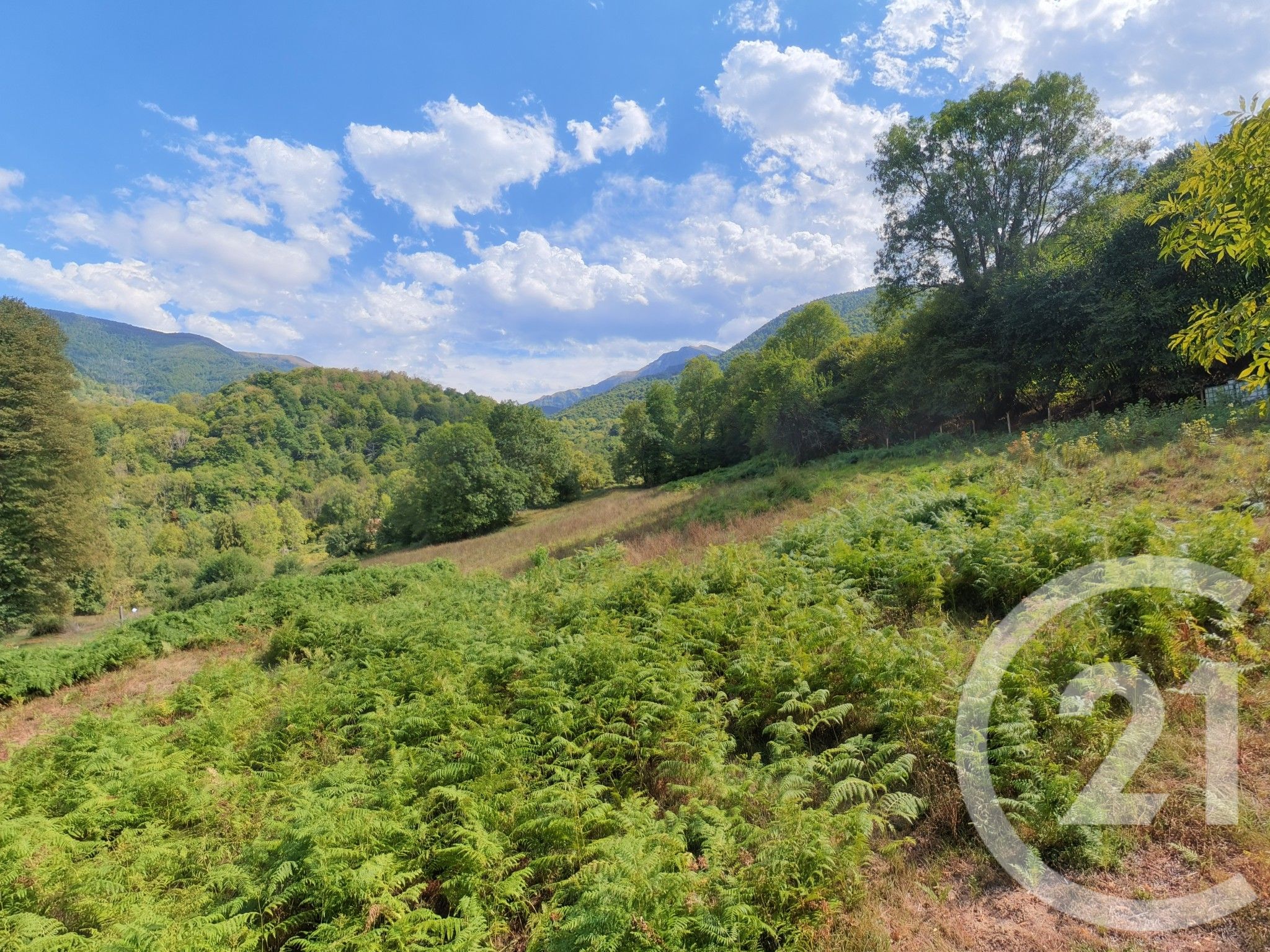 maison à vendre - 2 pièces - 96.0 m2 - BETHMALE - 09 - MIDI-PYRENEES - Century 21 Pyrénées Immo — 4