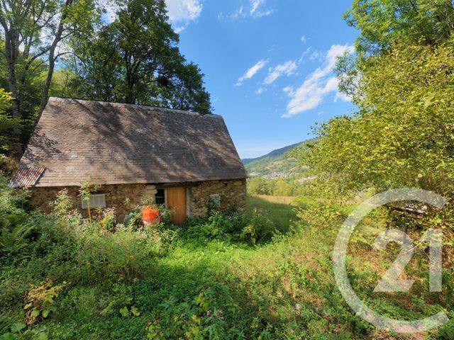 maison - BETHMALE - 09