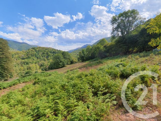 maison à vendre - 2 pièces - 96.0 m2 - BETHMALE - 09 - MIDI-PYRENEES - Century 21 Pyrénées Immo