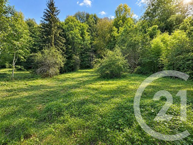 maison à vendre - 2 pièces - 103.0 m2 - BIERT - 09 - MIDI-PYRENEES - Century 21 Pyrénées Immo