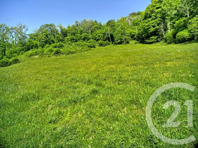 maison à vendre - 1 pièce - 30.0 m2 - BORDES UCHENTEIN - 09 - MIDI-PYRENEES - Century 21 Pyrénées Immo