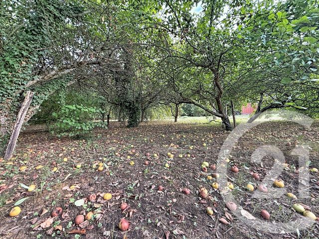 terrain à vendre - 1041.0 m2 - ST GIRONS - 09 - MIDI-PYRENEES - Century 21 Pyrénées Immo