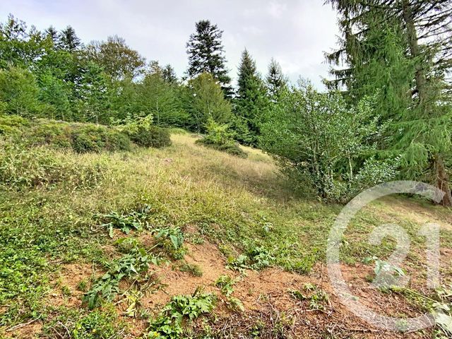 maison à vendre - 5 pièces - 124.4 m2 - USTOU - 09 - MIDI-PYRENEES - Century 21 Pyrénées Immo