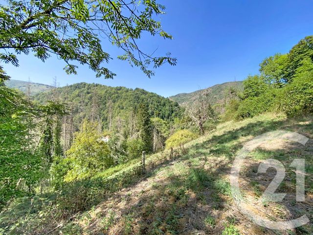 maison à vendre - 3 pièces - 71.86 m2 - ALOS - 09 - MIDI-PYRENEES - Century 21 Pyrénées Immo