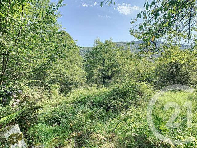Afficher la photo en grand maison à vendre - 2 pièces - 50.3 m2 - ERCE - 09 - MIDI-PYRENEES - Century 21 Pyrénées Immo